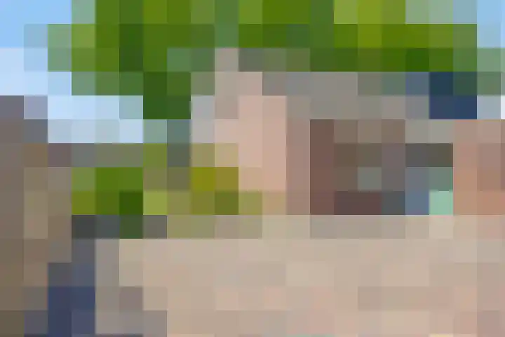 Vooronder 13 Elburg thumbnail 27