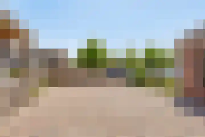 Vooronder 13 Elburg thumbnail 28