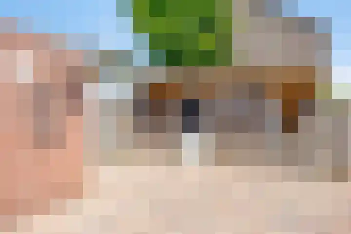 Vooronder 13 Elburg thumbnail 31