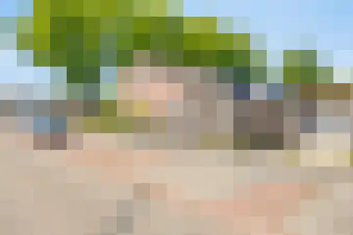 Vooronder 13 Elburg thumbnail 36