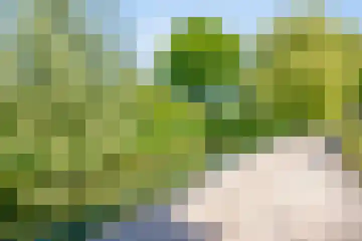 Vooronder 13 Elburg thumbnail 38