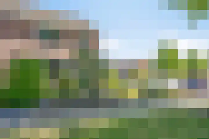 Vooronder 13 Elburg thumbnail 39