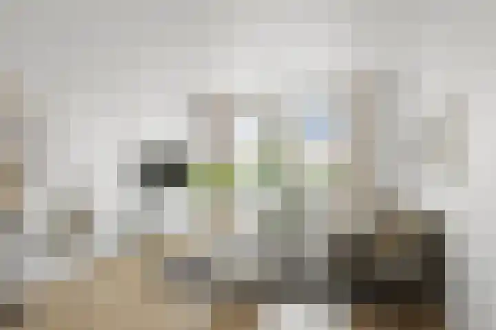 Vooronder 13 Elburg thumbnail 4