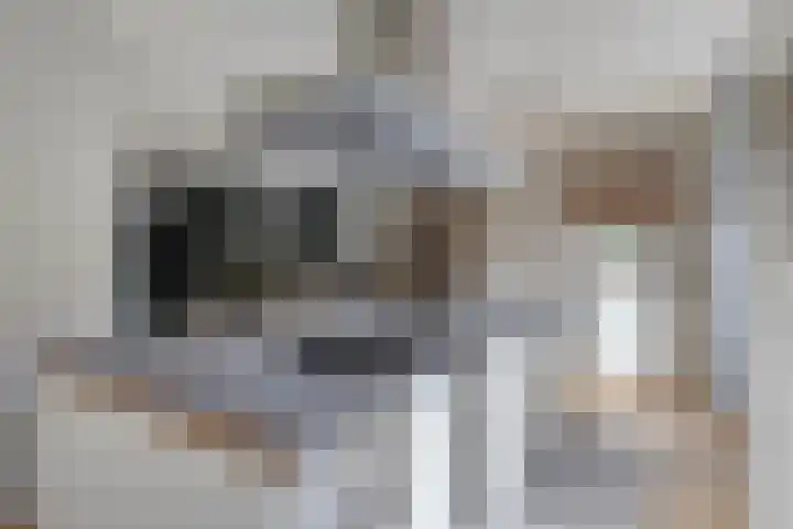 Vooronder 29 Almere thumbnail 20