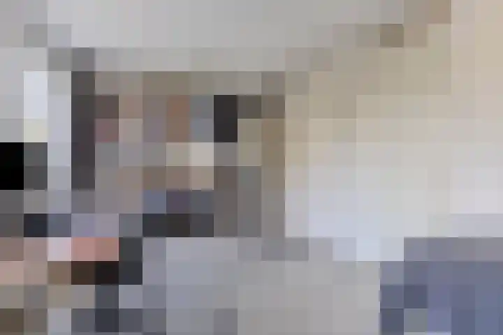 Vooronder 29 Almere thumbnail 23