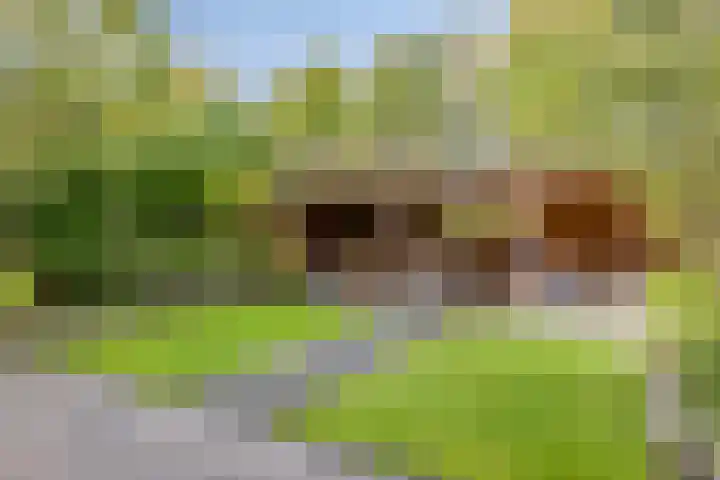 Vooronder 29 Almere thumbnail 33