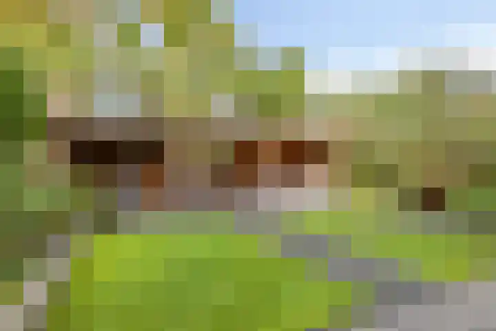 Vooronder 29 Almere thumbnail 4