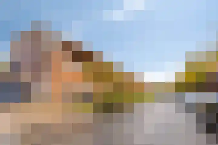 Vooronder 29 Almere thumbnail 6