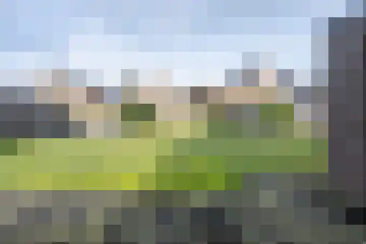 Vooronder 6 Nieuw-Amsterdam thumbnail 30