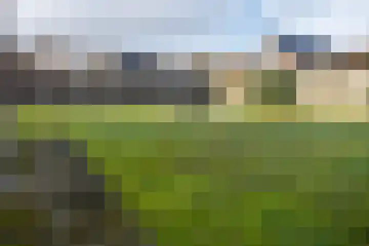 Vooronder 6 Nieuw-Amsterdam thumbnail 31