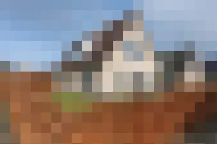 Vooronder 6 Nieuw-Amsterdam thumbnail 35
