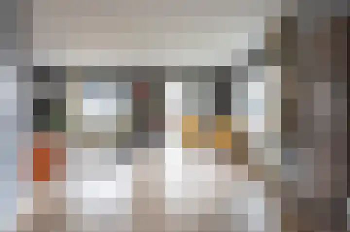 Vooronder 6 Nieuw-Amsterdam thumbnail 8