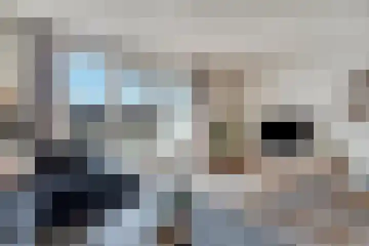 Vooronder 62 Almere thumbnail 7