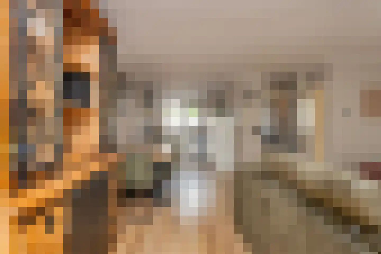 Vooronder 76 Elburg thumbnail 12