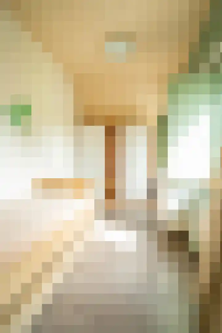 Voorpeelweg 5 Deurne thumbnail 33