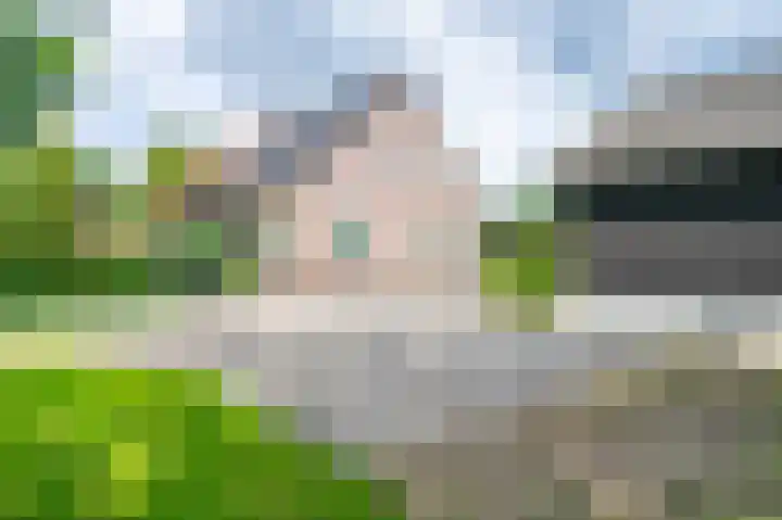 Voorpeelweg 5 Deurne thumbnail 4