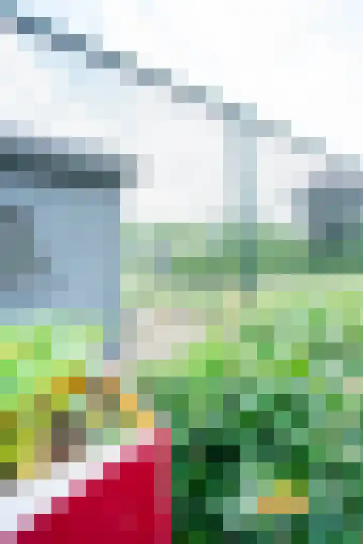 Voorpeelweg 5 Deurne thumbnail 52