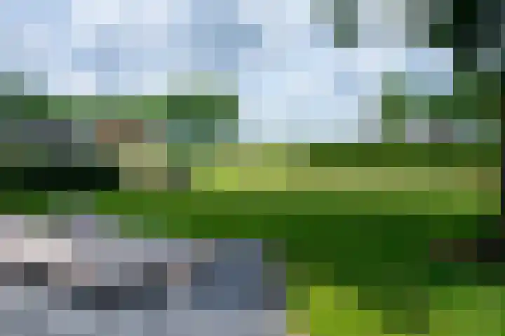 Voorpeelweg 5 Deurne thumbnail 58