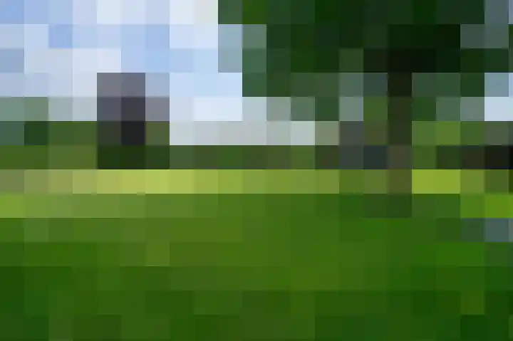 Voorpeelweg 5 Deurne thumbnail 59
