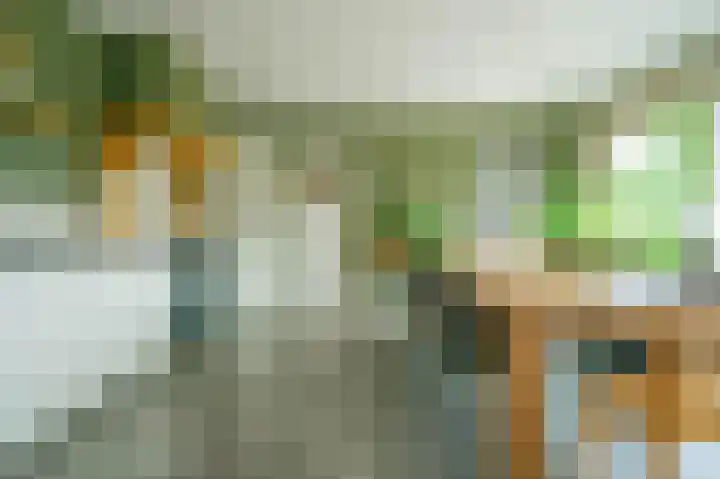 Voorpeelweg 5 Deurne thumbnail 9