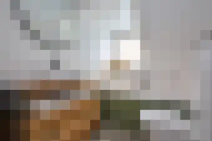 Voorplaats 12 Santpoort-Noord thumbnail 34