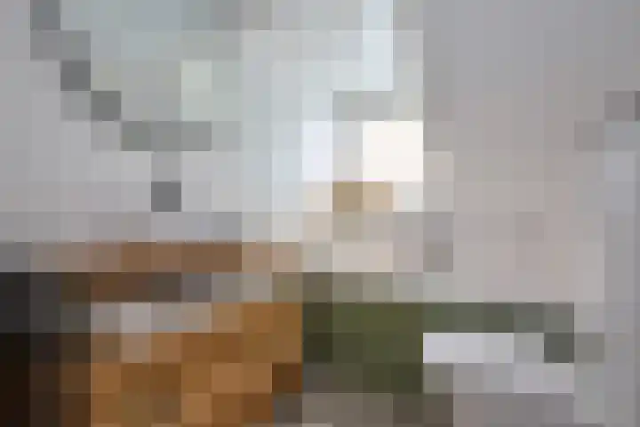 Voorplaats 12 Santpoort-Noord thumbnail 6