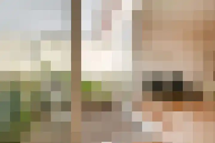 Voorplaats 23 Santpoort-Noord thumbnail 12