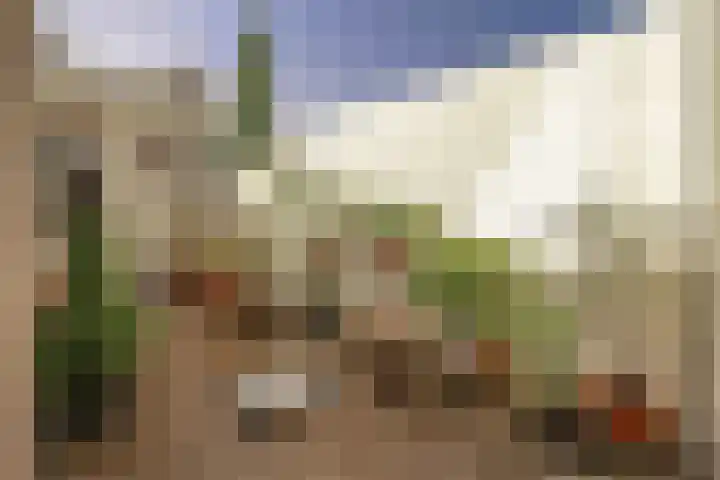 Voorplaats 23 Santpoort-Noord thumbnail 4