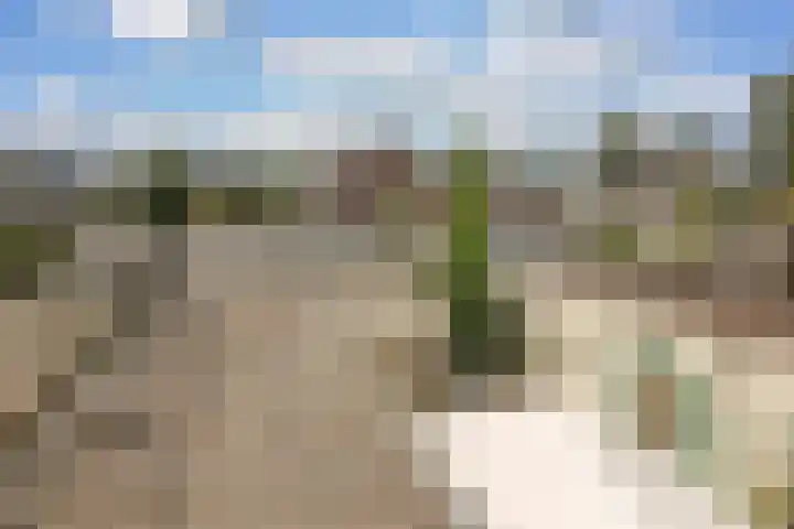 Voorplaats 23 Santpoort-Noord thumbnail 40