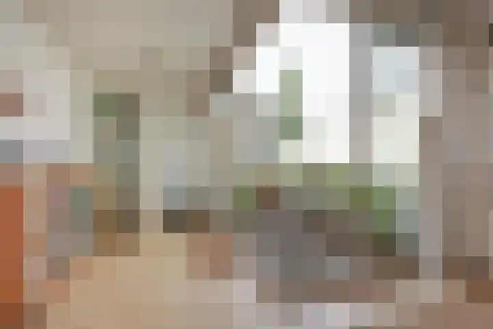 Voorplaats 23 Santpoort-Noord thumbnail 7
