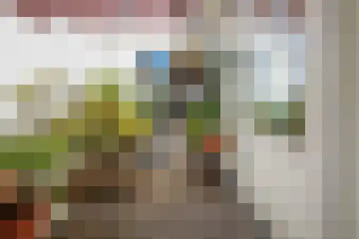 Voorplaats 23 Santpoort-Noord thumbnail 9
