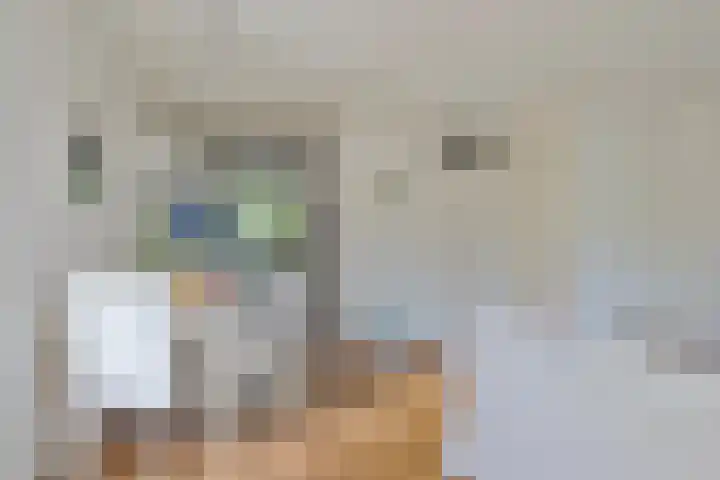 Voorplecht 1 Amstelveen thumbnail 12