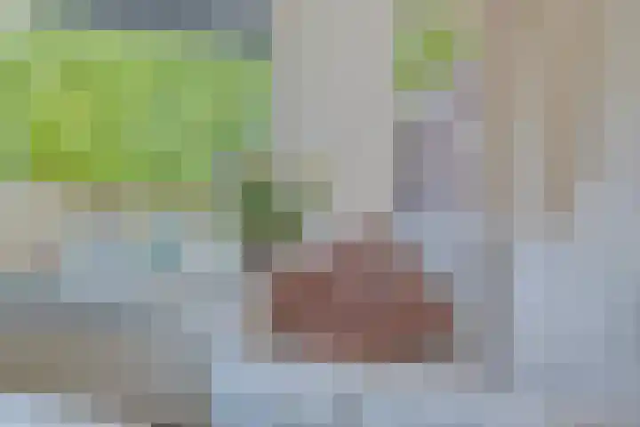 Voorplecht 1 Amstelveen thumbnail 14