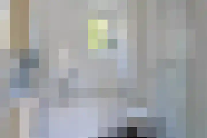 Voorplecht 1 Amstelveen thumbnail 20