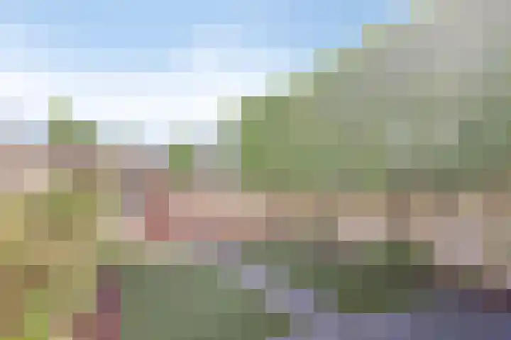 Voorplecht 1 Amstelveen thumbnail 34