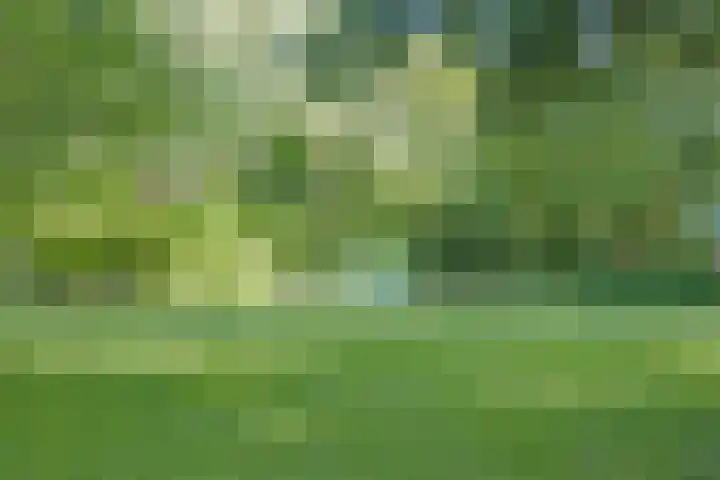 Voorplecht 1 Amstelveen thumbnail 36