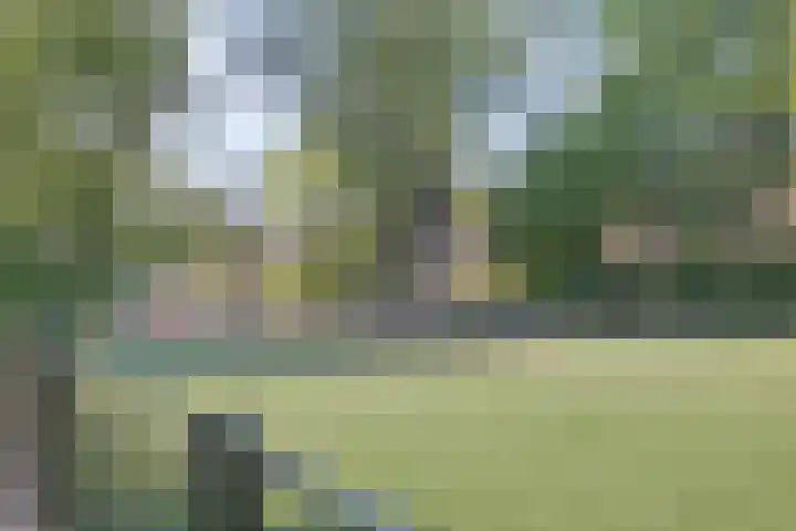 Voorplecht 1 Amstelveen thumbnail 37