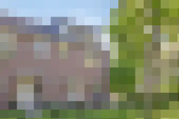 Voorplecht 1 Amstelveen thumbnail 43