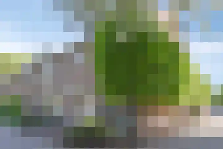 Voorplecht 1 Amstelveen thumbnail 7
