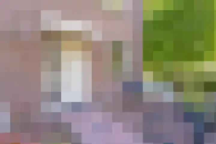 Voorplecht 1 Amstelveen thumbnail 8