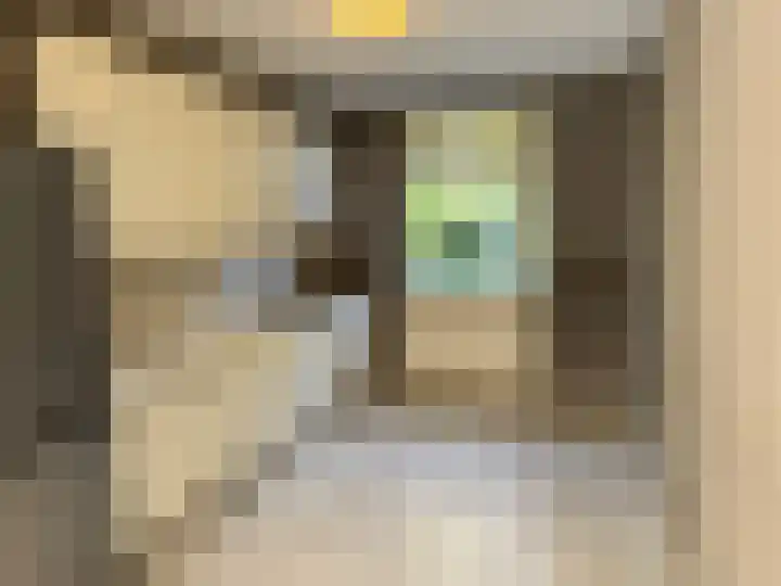 Voorplecht 11 Amstelveen thumbnail 5