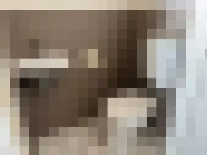 Voorplecht 11 Amstelveen thumbnail 7