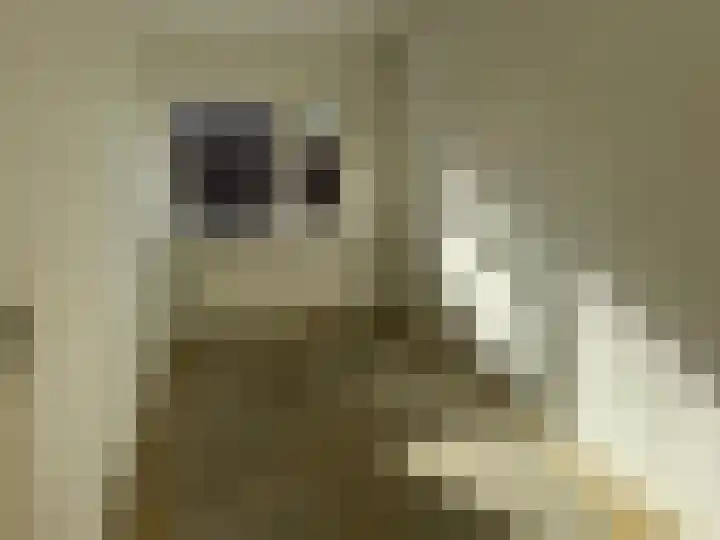 Voorplecht 11 Amstelveen thumbnail 8