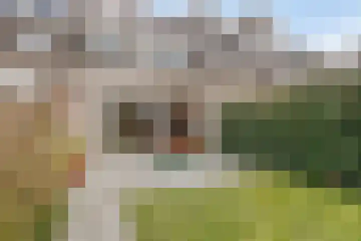 Voorplecht 124 Amstelveen thumbnail 25