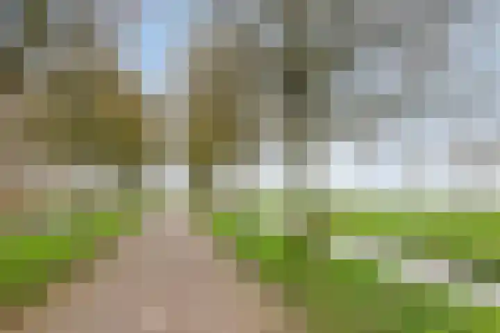 Voorplecht 124 Amstelveen thumbnail 31