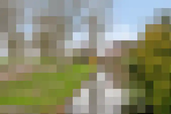 Voorplecht 124 Amstelveen thumbnail 32