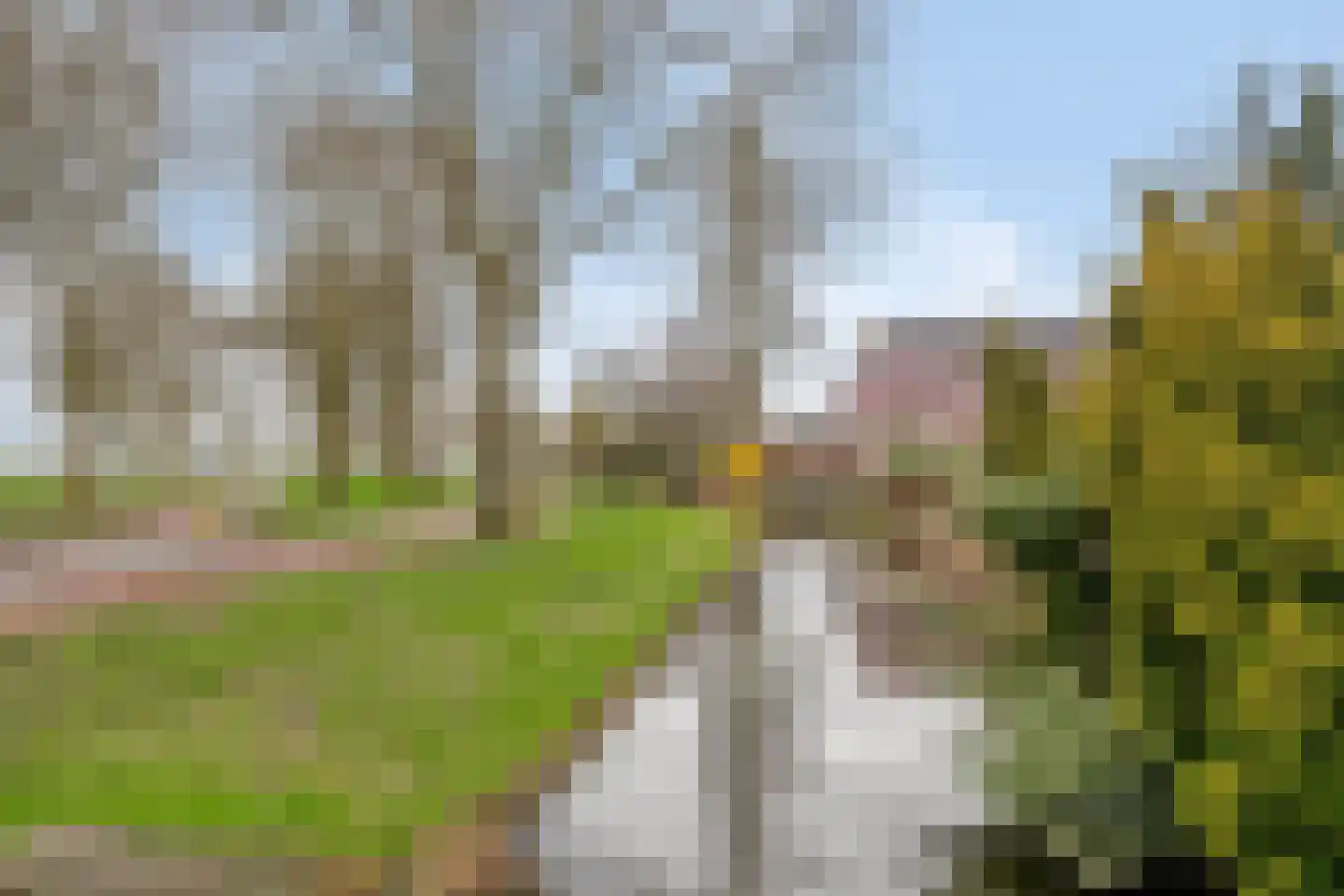 Voorplecht 124 Amstelveen thumbnail 32