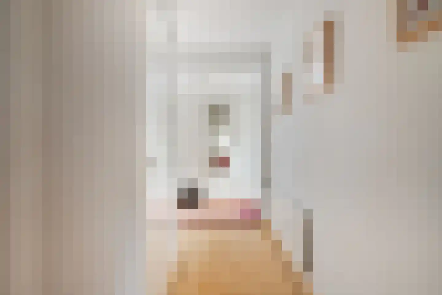 Voorplecht 124 Amstelveen thumbnail 6