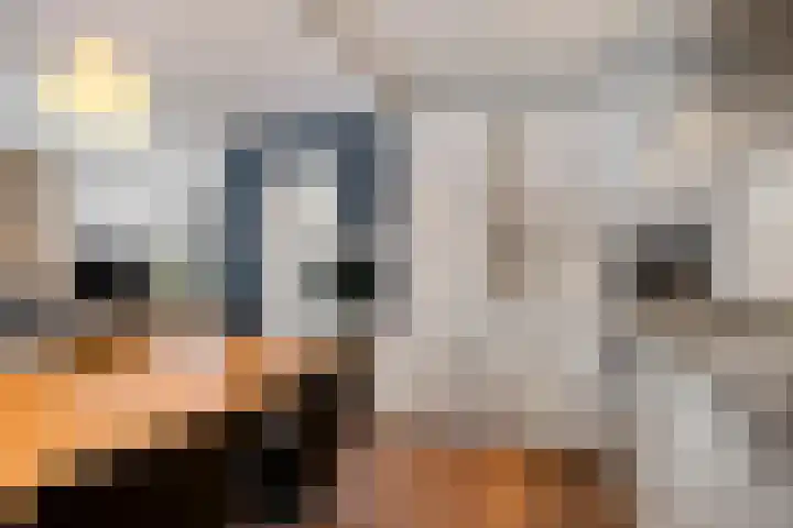 Voorplecht 29 Dronten thumbnail 13