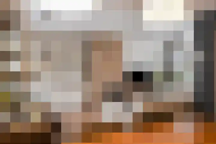 Voorplecht 29 Dronten thumbnail 14